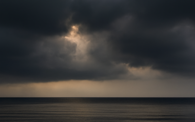 Apprehension